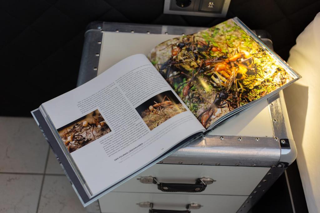 VILLA-ADRIANA-The-Queen-Apartments-Luxury-Living9